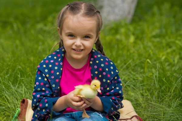庭に小さなアヒルのかわいい幸せな女の子 女の子持っていますダッキングで彼女の手 — ストック写真