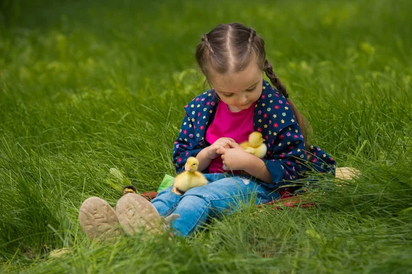 Мила Щаслива Дівчинка Маленькими Каченятами Саду Фон Природи — стокове фото
