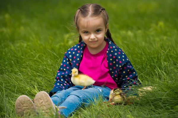Χαριτωμένο Χαρούμενο Κοριτσάκι Μικρά Παπάκια Στον Κήπο Φόντο Φύσης — Φωτογραφία Αρχείου