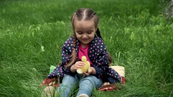 Petite Fille Jouant Avec Petit Caneton Jaune Dans Jardin — Video