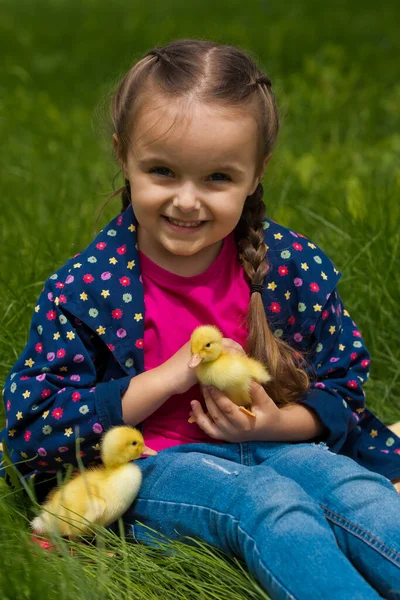 stock image Cute happy little girl with of small ducklings in the garden. Nature background.