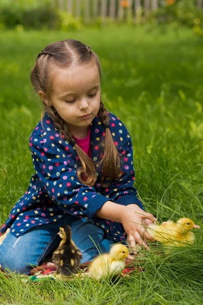 Мила Щаслива Дівчинка Маленькими Каченятами Саду Фон Природи — стокове фото