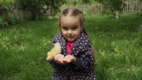 Niña Sosteniendo Patito Amarillo Sus Manos — Vídeo de stock