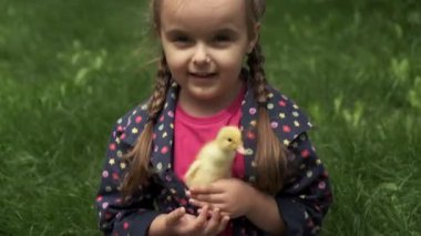 Küçük kız elinde küçük sarı bir ördek yavrusu tutuyor ve onu öpüyor..