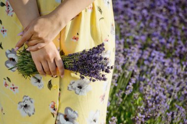 Kadın eli bir demet lavanta tutar.
