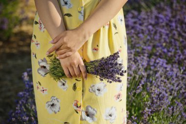 Kadın eli bir demet lavanta tutar.