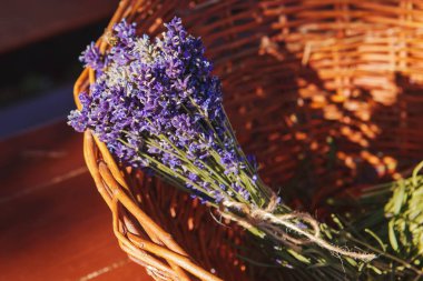 Bir sepet dolusu taze kesilmiş lavanta çiçeği. Yumuşak odak.