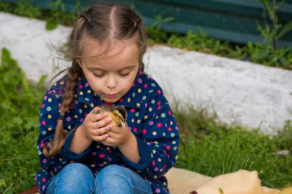 Bahçesinde Küçük Ördek Yavruları Olan Şirin Mutlu Küçük Bir Kız — Stok fotoğraf