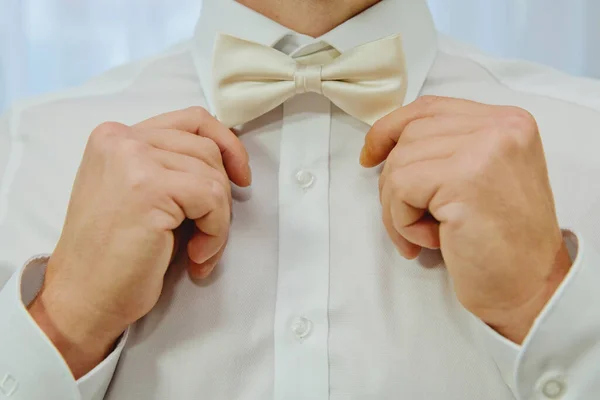 Man fixing his bow tie. Man groom in wedding suit with a bow tie. Close-up.