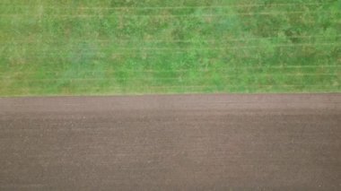 Yeşil çayırların, tarlaların ve yapayalnız ağaçların olduğu bir çiftliğin insansız hava aracı ile ultra HD görüntüler..