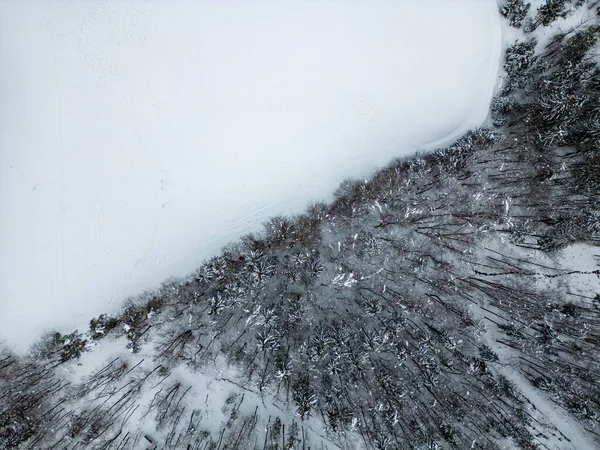 Horní Pohled Trubcem Krásné Zasněžené Zimní Přírody Hranice Mezi Lesem — Stock fotografie