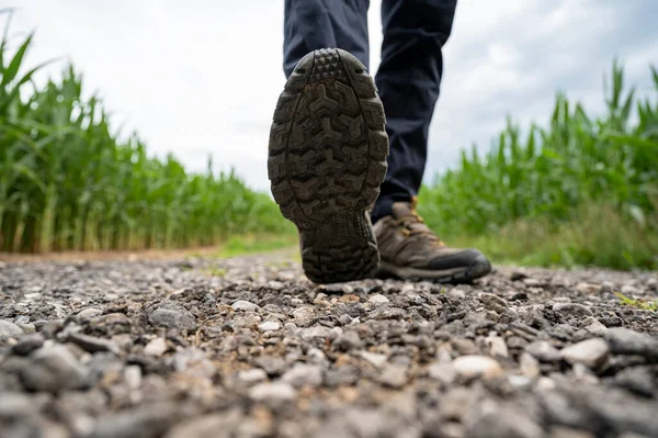 Χαμηλή Γωνία Άποψη Των Αρσενικών Ποδιών Μπότες Πεζοπορίας Βαδίζοντας Προς — Φωτογραφία Αρχείου