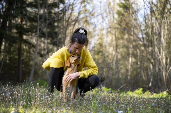 Pemilik Anjing Betina Dengan Sweater Kuning Terang Berlutut Untuk Berpelukan — Stok Foto