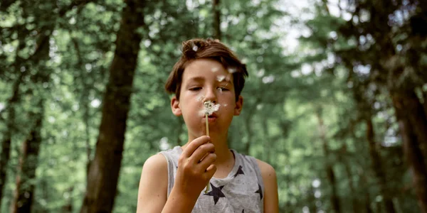 Anak Laki Laki Awal Masa Remajanya Meniup Bola Lampu Dandelion — Stok Foto