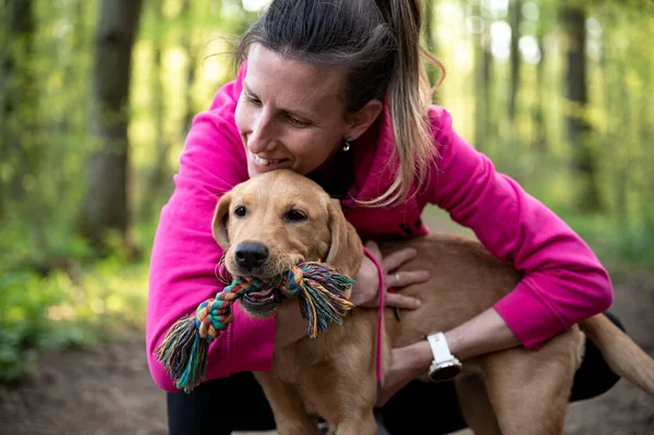 若いです女性犬所有者でピンクセーター抱っことともに彼女のPurebreeded遊び心ラブラドール取得子犬で緑の春の森 — ストック写真