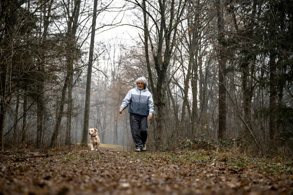 シニア男楽しんで彼の退職歩く彼のかわいい犬上のひもで秋の森 — ストック写真