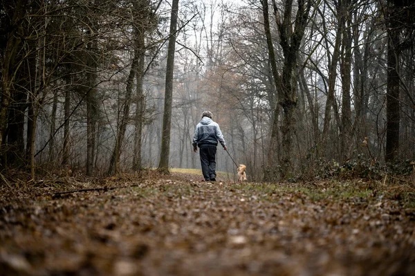 秋の森の中を歩いている老人の後ろからの眺め — ストック写真