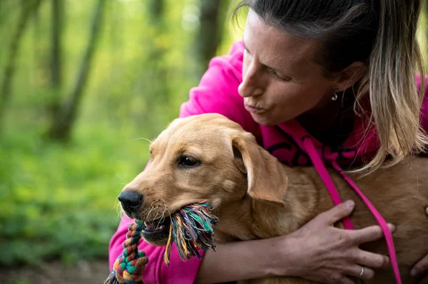 Joven Propietaria Acariciando Besando Adorable Cachorro Labrador Retriever Dorado Con — Foto de Stock