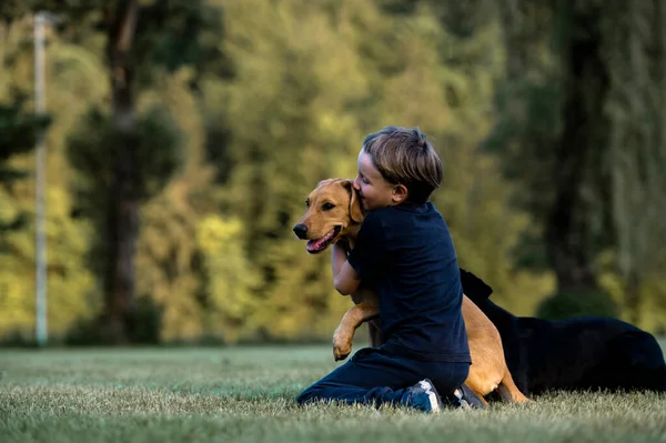 Amizade Entre Menino Cão Jovem Menino Abraçando Alegremente Seu Cachorro — Fotografia de Stock
