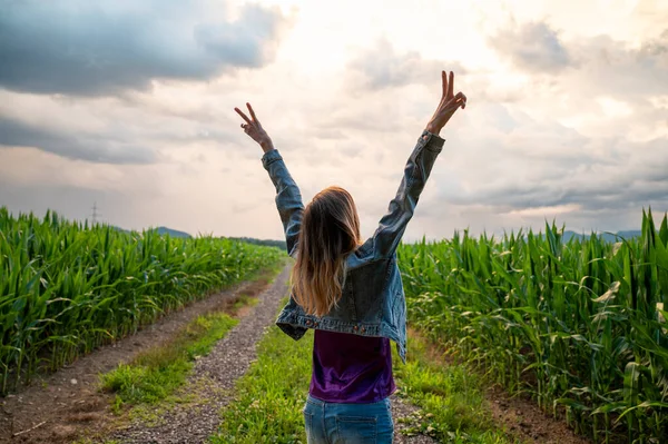Молодая Женщина Стоящая Посреди Зеленого Летнего Кукурузного Поля Высоко Поднятыми — стоковое фото