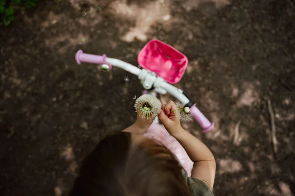 Widok Góry Małej Dziewczynki Różowym Rowerze Trzymającej Dłoniach Delikatne Kwiatki — Zdjęcie stockowe