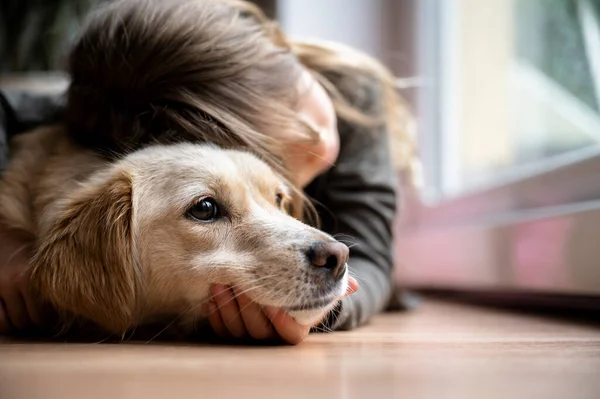 Beautiful Sincere Friendship Dog Child Toddle Girl Cuddling Her Cute — Stock Photo, Image