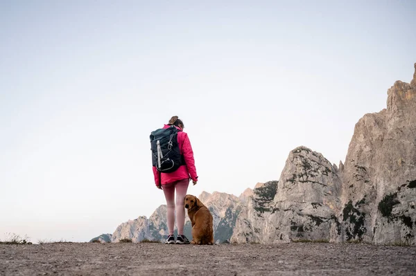 Female Hiker Pink Jacket Standing Top Mountain Her Purebred Golden Royalty Free Stock Images