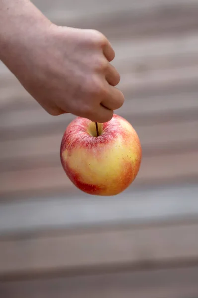 从上面看一个小孩拿着一个苹果的树干在木制的背景上 — 图库照片