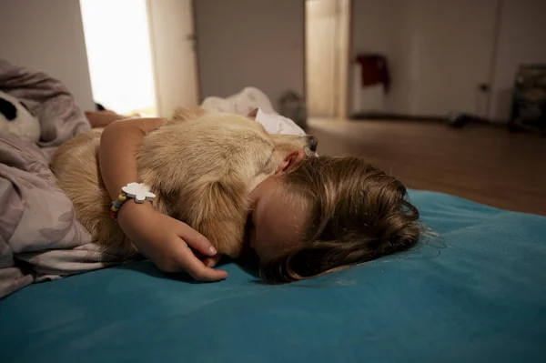 Niñas Pequeñas Que Duermen Cama Abrazándose Con Lindo Perro Mascota Imagen de archivo