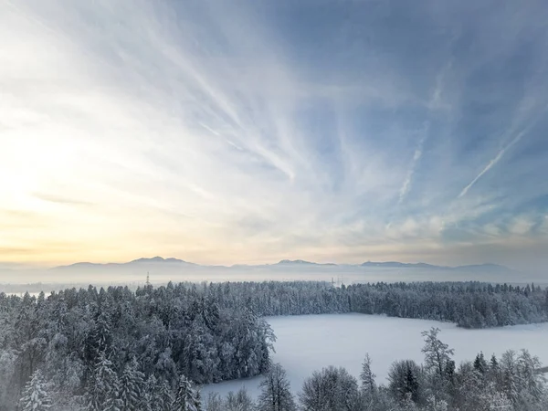 Photo Drone Beautiful Winter Snow Covered Landscape Forest Clearing Mountains — Stock Photo, Image