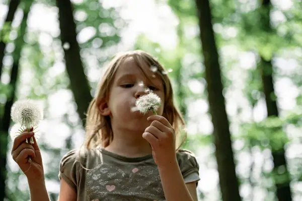 Toddler Girl Blowing Dandelion Bulb While Holding Another One Other Royalty Free Stock Photos
