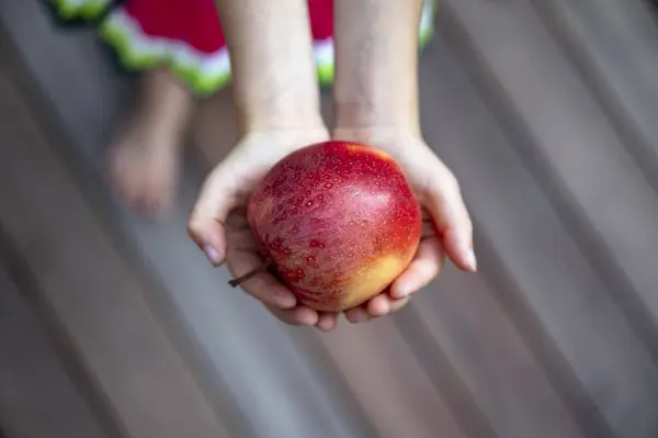 Widok Dziewczynę Trzymającą Ręku Piękne Dojrzałe Czerwone Jabłko Zdjęcia Stockowe bez tantiem