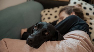 Genç bir kadın, siyah labrador av köpeği yanında yatarken kanepede hasta bir şekilde yatıyor. Evcil hayvanın başına odaklan..