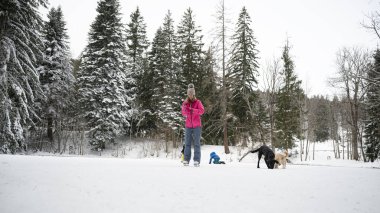 Pembe ceketli bir insan, iki köpek ve bir çocukla karlı bir ormanda uzun, karla kaplı çam ağaçlarıyla oynamaktan zevk alır..