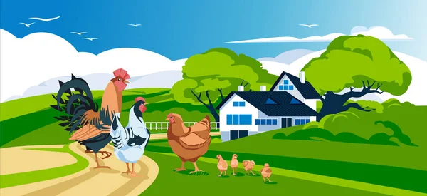 stock vector view of the farm in the middle of a green meadow. Agriculture and harvesting. Pets. Rooster, chickens, chicks. Vector flat illustration