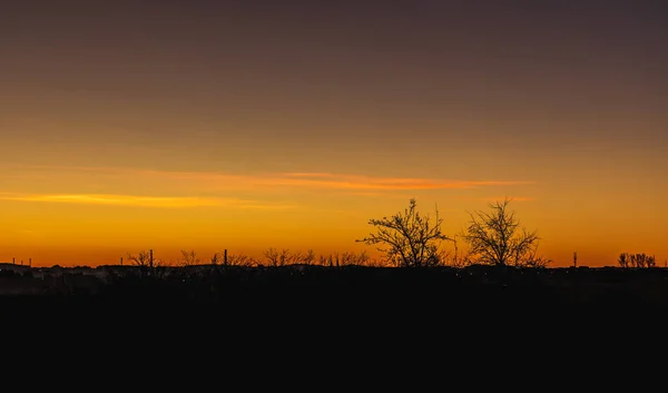 Morgendlicher Sonnenaufgang Über Dunklen Büschen Und Bäumen Herbst — Stockfoto