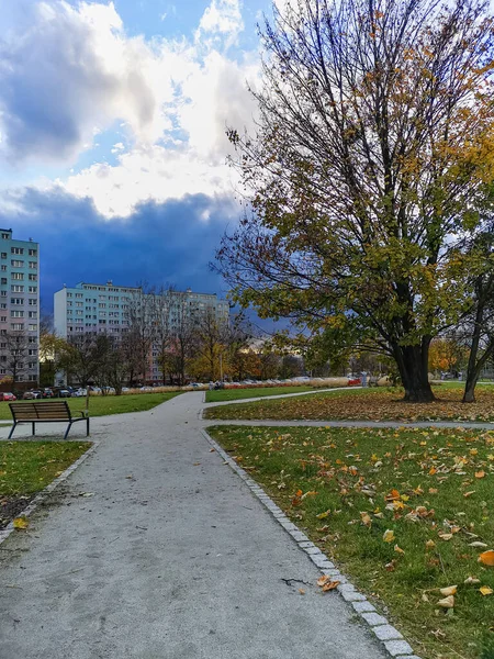 Wroclaw, Polonya - Kasım 2021: Yeşil çimenler ve sarı ve turuncu yapraklarla dolu küçük kare bulutlu şehir manzarası