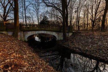 Kış sonrası güzel renkli park küçük göle yansıyor.