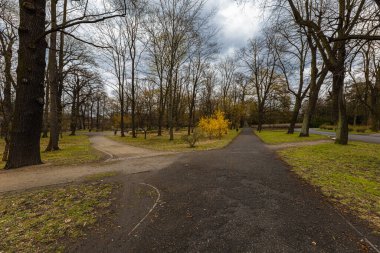 Long paths in park with benches on sides and full of old trees