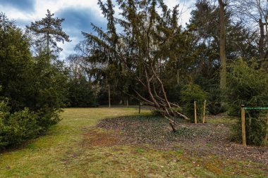 Small square in small park full of small bushes and trees at sunny cloudy day