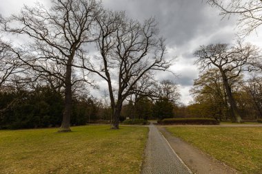 Beautiful landscape of long path in park between green and yellow glade with few trees around