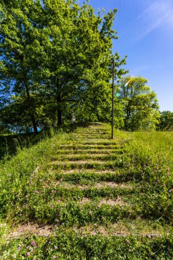 Small stairs full of bushes and grass and small lantern next to it in small green park at sunny morning