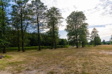 Sarı ve yeşil çimlerle dolu bir açıklık ve güneşli bir öğleden sonra nehir kenarında birkaç ağaç.