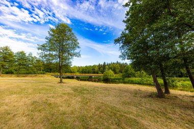 Sarı ve yeşil çimlerle dolu bir açıklık ve güneşli bir öğleden sonra nehir kenarında birkaç ağaç.
