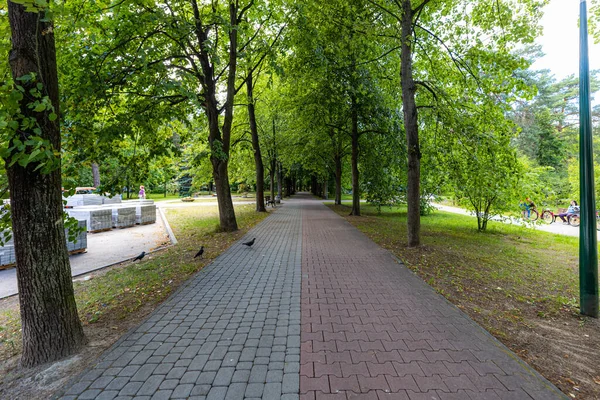 波兰史达沃沃拉 2022年6月 一个美丽的 五彩斑斓的城市公园 在阳光灿烂的日子里 拥有一条人造河流 一个喷泉和一个步行的人 — 图库照片