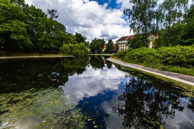 Poznan, Polonya - Temmuz 2022: Güneşli bir günde yeşil ağaçlar ve çalılarla dolu bir şehir parkında ağaçların ve gökyüzünün yansıtıldığı büyük bir gölet