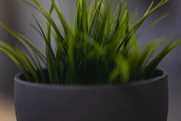 stock image Green artificial grass with a lot of plastic stems in gray concrete flower pot