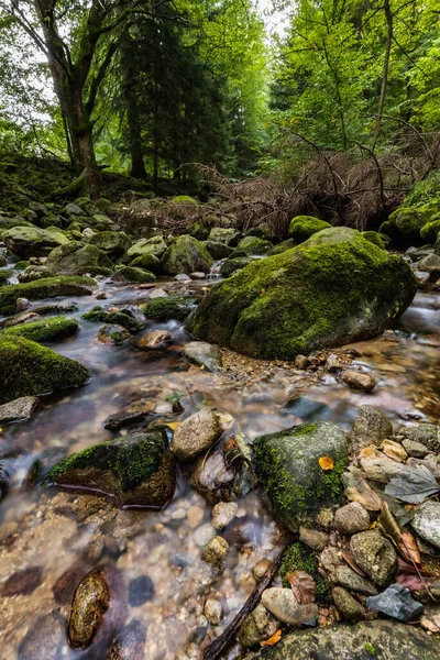在巨人山中 美丽的小瀑布 布满了绿树成荫的大石头和小石头 — 图库照片