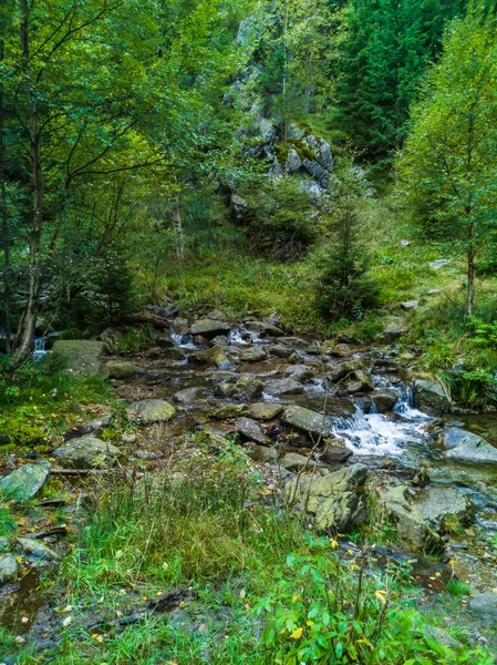 Чудовий Невеликий Водоспад Повний Маленьких Великих Каменів Каменів Зеленими Деревами — стокове фото