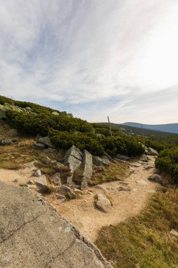 Tepelerin ve dağların güzel manzarası yeşil çalılarla dolu, sarı çimenler ve güneşli sonbahar gününde büyük kayalar.